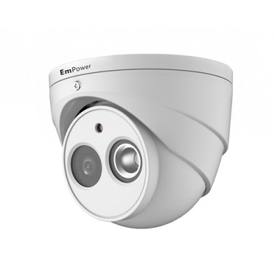 2MP IR Eyeball Network Camera